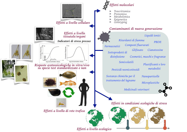 ecotossicologia