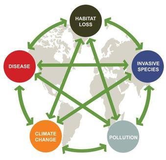 grafico climate change