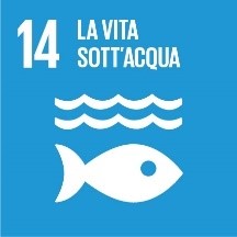 14 - La vita sott'acqua