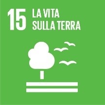 15 - La vita sulla terra