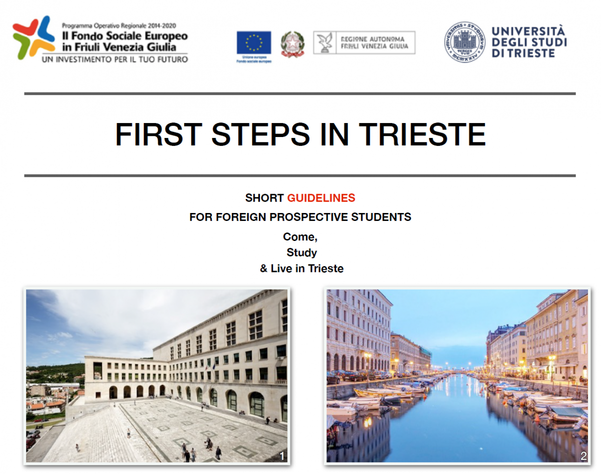 First steps in Trieste