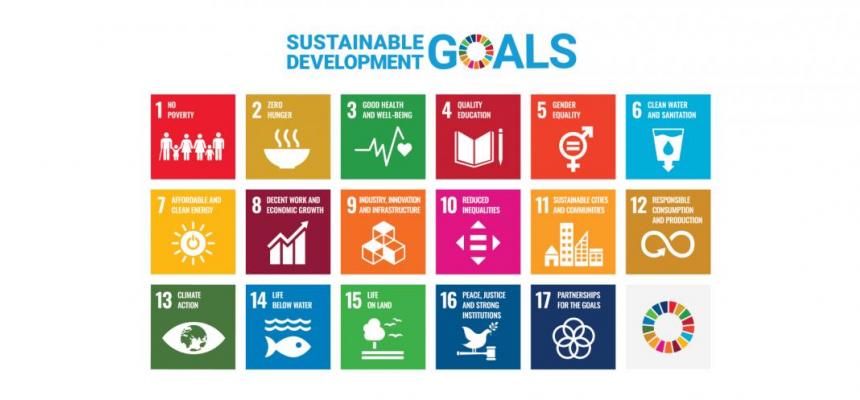 Sustainable Development Goals