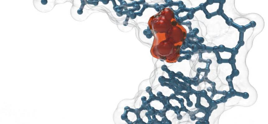 Il gruppo MolBNL@UniTS del DIA su NATURE-Molecola Farmaco antitumorale-Modello di una molecola del farmaco antitumorale cis-Platino intercalata tra le basi del DNA