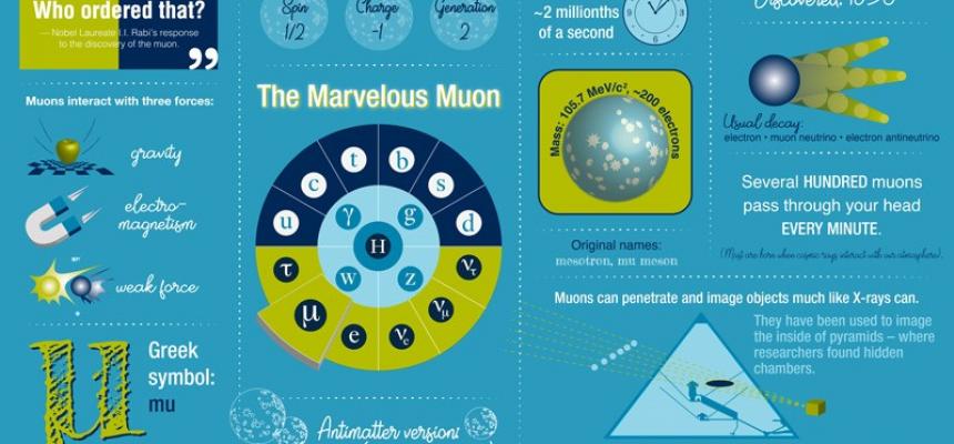 Il mistero del magnetismo dei muoni e i possibili indizi di una rivoluzione nella fisica subatomica-Muoni img-Infografica sulle proprietà dei muoni