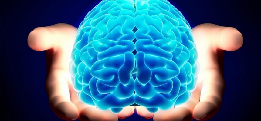 Immatricolazioni per il dottorato in Neuroscienze e scienze cognitive-Immagine-