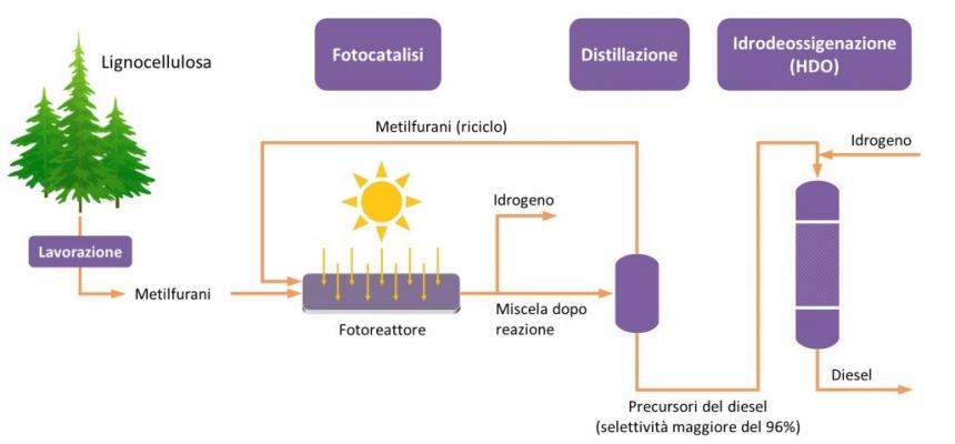 Sole, biomasse e tecnologie: la nuova “via della Seta” -schema biomasse-