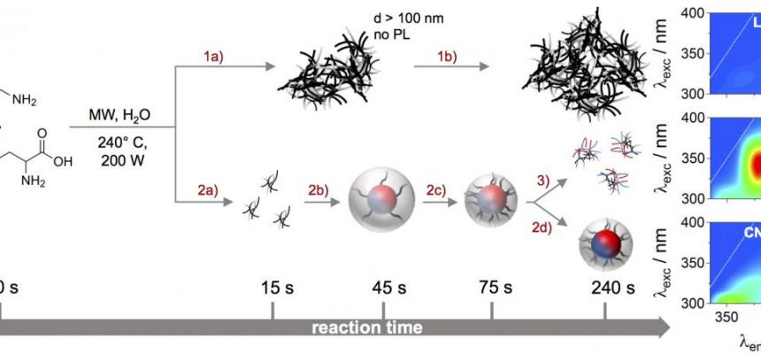 Nanoparticelle di carbonio luminescenti: scoperta struttura e potenziali funzioni per la nanomedicina-Schema reazione nanodots img-La figura riporta lo schema della reazione