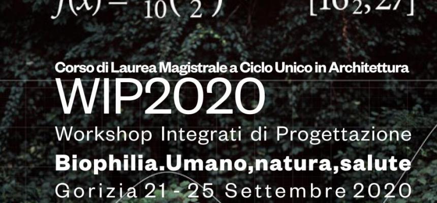Workshop Integrati di progettazione 2020 a Gorizia-WIP 2020 image-