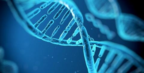 Biomedicina molecolare: gli esiti del concorso per il dottorato-DNA-