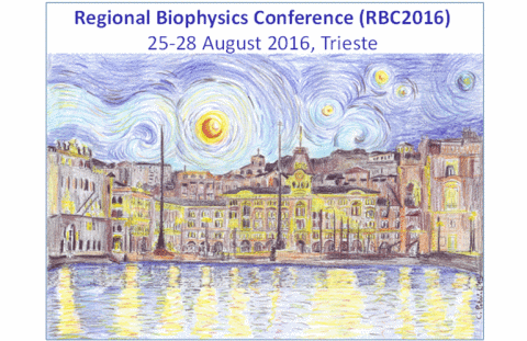 Regional Biophysical Conference (RBC2016)-Immagine-