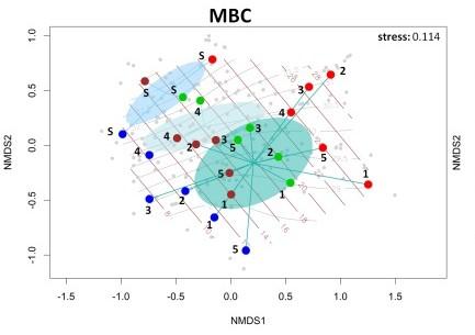 PhD Top Stories. DNA metabarcoding vs. analisi morfologica-DNA PHD Schroeder img-