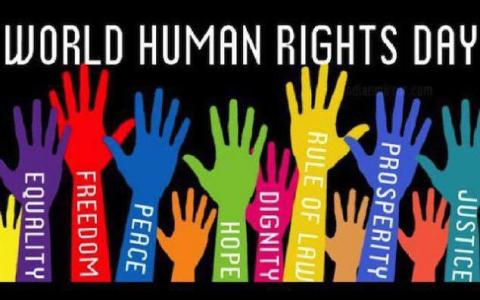 Il valore della Dichiarazione Universale dei diritti dell'uomo nella giurisprudenza internazionale-Human Rights Image-