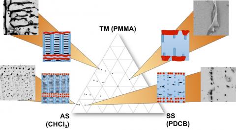 Fabbricazione per autoassemblaggio di nanostrutture polimeriche-Immagine-