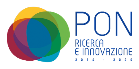 PON Logo