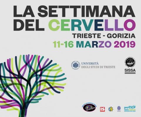 Settimana del Cervello 2019-settimana cervello logo-