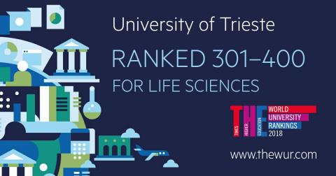 Nuovi ranking per materie del THE Times Higher Education-Immagine-