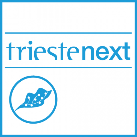 Presentata l'edizione 2017 di Trieste Next-Immagine-