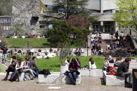 Immatricolazioni all'Università di Trieste-Immagine-