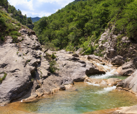 val rosandra SBI-odiversità – Conoscere il nostro Capitale Vegetale