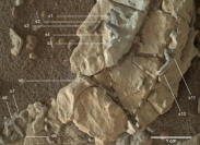 Best Alumni UniTS. Laureato triestino pubblica uno studio sulla vita su Marte-Imaging analysis: strutture marziane che potrebbero essere tane fossili.-Imaging analysis: strutture marziane che potrebbero essere tane fossili.