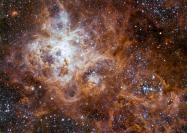 “Stellar populations dominated by massive stars in dusty starburst galaxies across cosmic time”-nebulosa-