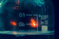 L’Università di Trieste e la ricerca scientifica-Immagine-