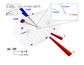 Prima osservazione dell’accoppiamento diretto del bosone di Higgs con il quark bottom-grafico della scoperta-
