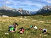 Pubblicata la checklist degli oltre 3000 licheni presenti sulle Alpi-lichenologi al lavoro in montagna-