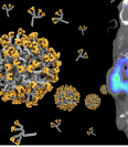 Le nanotecnologie per la teranostica-nanosistema-