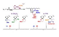 PHD Top story Chimica Poliolefine img