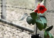Conclusione del progetto Promemoria_Auschwitz 2019-rosauschw-