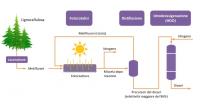 Sole, biomasse e tecnologie: la nuova “via della Seta” -schema biomasse-