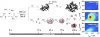 Nanoparticelle di carbonio luminescenti: scoperta struttura e potenziali funzioni per la nanomedicina-Schema reazione nanodots img-La figura riporta lo schema della reazione