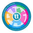 U-Multirank 2019: positivi i punteggi di UniTS-sunburst multirank-